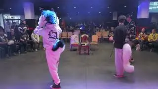 Futrołajki 2024 Dance Battle