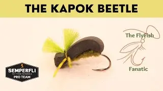 The Kapok Beetle