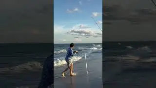 Укус синей рыбы горит 🔥 #шорты