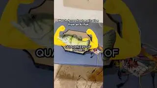 Рыба с искусственным интеллектом 🐠 (мотивация к тренировкам) #шорты