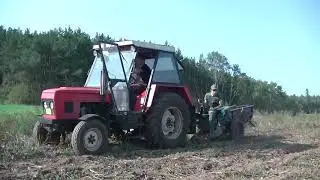 Brambory 2020 vyb&iacute;r&aacute;n&iacute;, vl&aacute;čen&iacute;, kultivace Zetor 7011