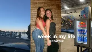 week in the life as a college student at hofstra university