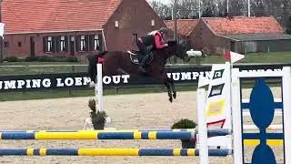 Uzelle van d Elzendreef 110m  training katershoeve