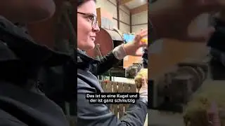 Part 2 - Vom Feld🥕 auf den Teller🍽️-ADAMAH BioHof x Luftburg Kolarik im Prater