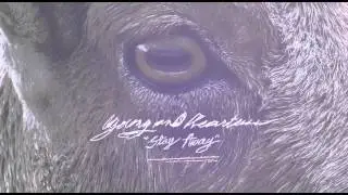 Young and Heartless - Kids