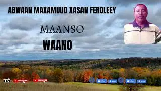 ABWAAN MAXAMUUD XASAN FAROLEEY