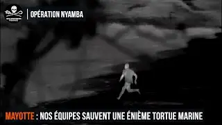 Mayotte : nos équipes sauvent une énième tortue marine