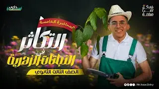 التكاثر في النباتات الزهرية🌱