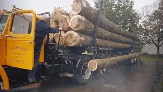 Mack NR logging truck lifting a trunk, Mackdag 2014