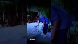 Rumah Catur Pojok Kelod Kauh Debes Tabanan Bali #rumahcatur #koni