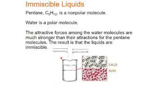 Chapter 11 Section 3 Types of Intermolecular Forces