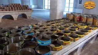 L&rsquo;ex Tonnara Florio e l'Antiquarium, a Favignana