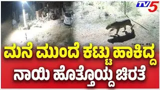 Leopard Attacks Pet Dog In Mysuru : ಮನೆ ಮುಂದೆ ಕಟ್ಟು ಹಾಕಿದ್ದ ನಾಯಿ ಹೊತ್ತೊಯ್ದ ಚಿರತೆ