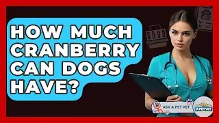 How Much Cranberry Can Dogs Have? - Ask A Pet Vet