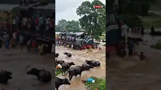 Emotional Flood Rescue: Train Through Rising Waters. #viral #floodinpakistan #train #rain