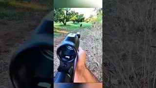 &ldquo;Boar Hunting Real Action Shots | Wild Boar Hunt in Deep Forest 🔥🐗&rdquo; #hunters #bowhunting #biggamehun