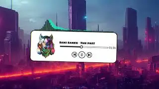 Sani Sanex - The past