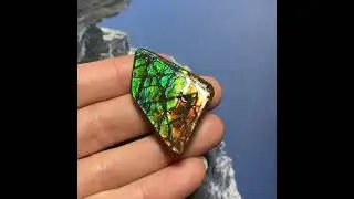 Canadian Ammolite Ammonite #Fossil #specimen #ammolite #gemstone #ammonite #naturalgems #Freeform