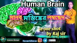 Human Brain by Science Olympic | Structure and Function of Human Brain | মানব মস্তিষ্কের গঠন classX