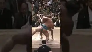 Sumo wrestling #shorts #sumo #sumowrestler #sumowrestling #wrestling #сумо #хуреш #хапсагай