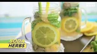 Resipi Soda Herbs
