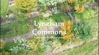 Lyneham Commons: A community food forest project