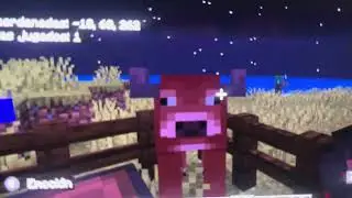 #minecraft  disco de m&uacute;sica