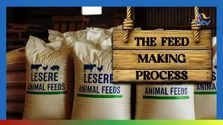 Inside an Animal Feed Factory: How Trade Finance Powers Production | Market Place