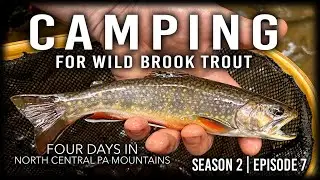 Camping For Wild Brook Trout in North Central PA - S2E7