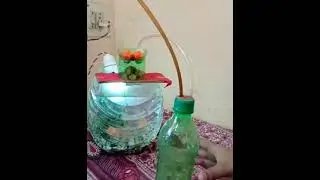 DIY Project - Fish Tank using water bottle | Explain how to make manual Air Oxygen Motor