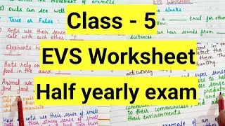 Class 5 evs half yearly exam Question Paper 2024-25 | Class 5 Exam Paper evs worksheet | part 2