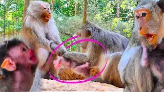 Truly Moment..Because love one of old grandma pigtail dis/available to hug new baby from real mom
