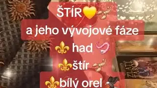 💛 ŠTÍR - JEHO TRANSFORMACE V BÍLÉHO ORLA