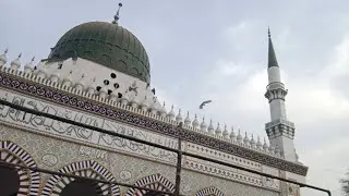 چک نمبر موہل موسیٰ خاں تحصیل دیپالپور ضلع اوکاڑہ کی خوبصورت جامعہ مسجد انوار مدینہ کی زیارت کیجئے