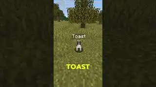 5 Secret Minecraft Name Tag Tricks!