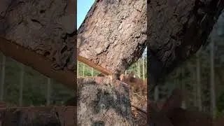 Open face notch closing