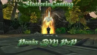 5.4.8 PVP Level 90 Beast Mastery Hunter Burst Clip