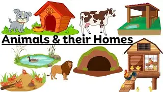 Animals & Homes| Animal Shelter Names for Kids in English| Educational video| Where do Animals live?