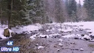 4K Forest River Ambience | Nature Sounds with White Noise for Sleep, Study, and Relaxation #nature