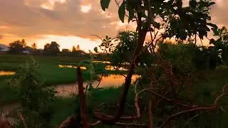 CINEMATIC VIDEO_ALAM SEKITAR || Nature Cinematic