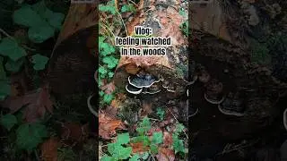 👀 Vlog: Uczucie bycia obserwowanym w lesie #las #wyspavancouve #dzikaprzyroda #niesamowite #stras...