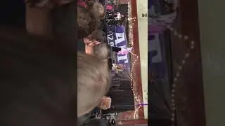 New Politics - West End Kids (Live in Boston)