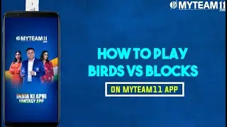How to Play Birds vs blocks on MyTeam11