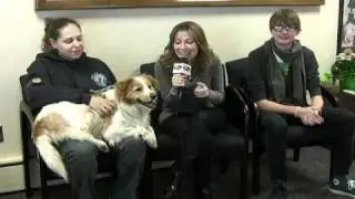 WDHA's Rock N Ruff with CASSIDY