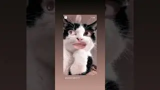 #one#cup#tea#tumne#hme#di#hmne#pee#hihihi#viral#video#🥰