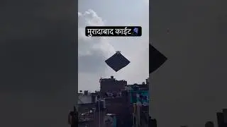 #shorts kite lover #trending #viralvideo #youtubeshorts 🪁🪁