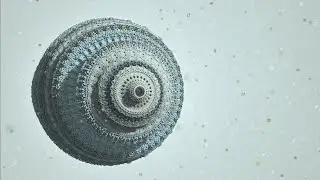 Zero Gr4vity - Floating Points (Official Music Video)