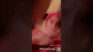 #AnnaChase