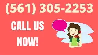 Internet Marketing Agency Tampa  | Tampa Internet Online Marketing Agency