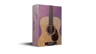 ROYALTY FREE Acoustic Guitar RnB Loops Kit 